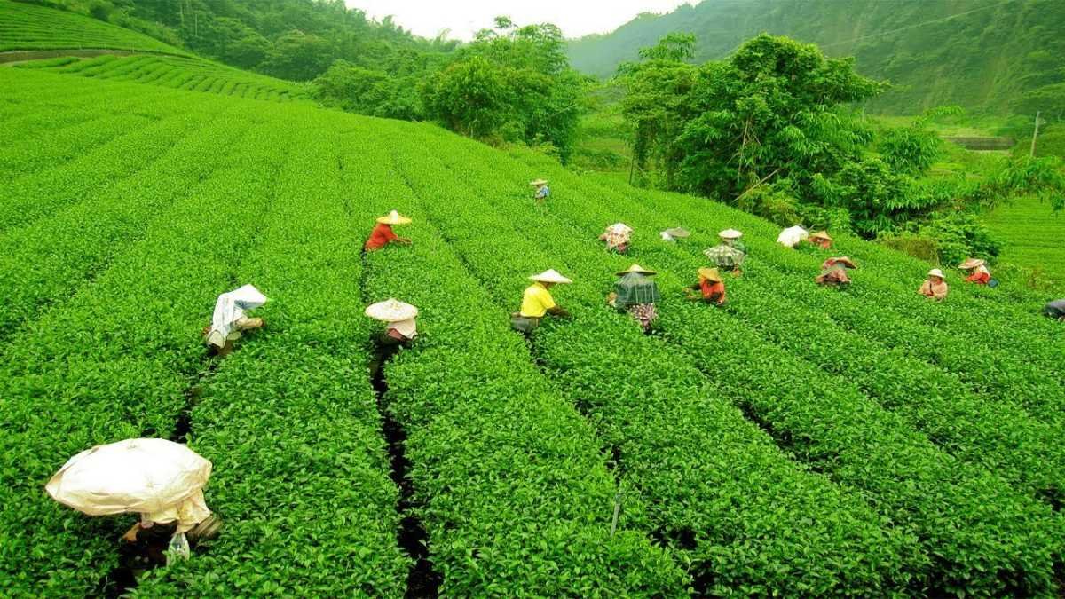 आसाम-मेघालय-अरुणाचल प्रदेश दर्शन सहल